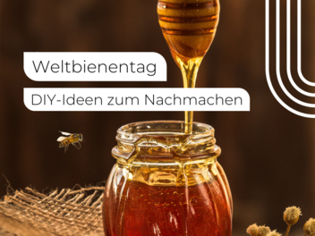 Weltbienentag: DIYs zum Nachmachen