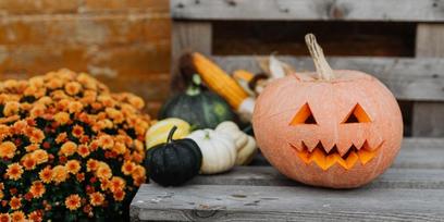 Ran an den Kürbis - B.Our Fotowettbewerb 2.0