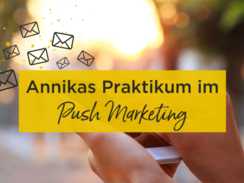 Annika&#039;s review of her internship in Push Marketing