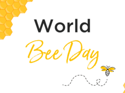 Happy World Bee Day! - Teil 1