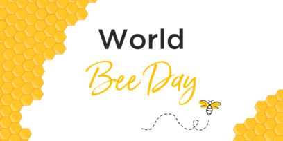 Happy World Bee Day! - Teil 1