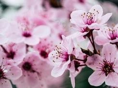 Endlich wieder Frühling