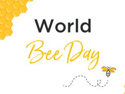 Happy World Bee Day! - Teil 2